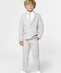 Spookachtige Winkel 14 Opposuits Grijze Bruidsjonker Zonder Ringen Jongen Kostuum