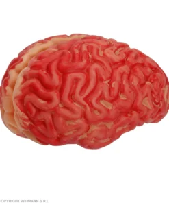 WIDMANN Verse Bloederige Hersenen